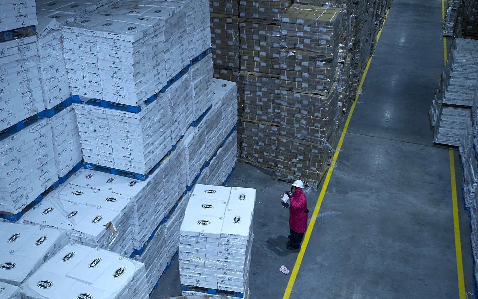 Cámara de congelación con estibas listas para despacho