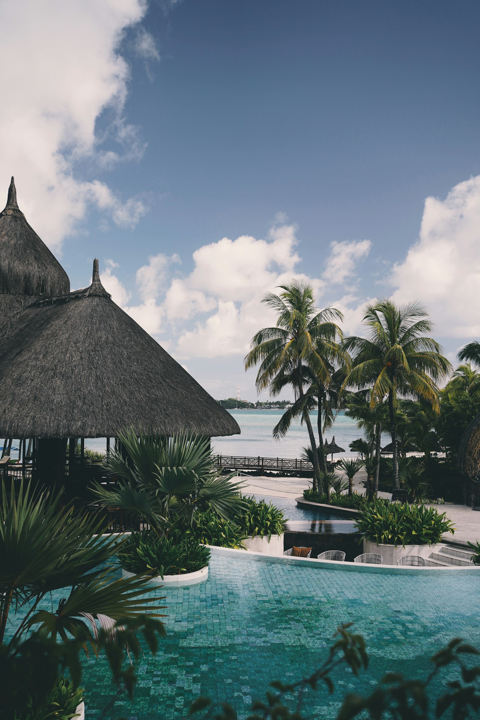 Palapa junto a palmeras en playa de Morrocoy